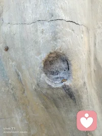 可以选择陪伴，也可以选择离开，选择很重要配图