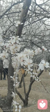 学会看到美，配图