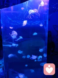希望你幸福配图