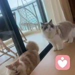 为你解忧的头像