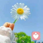 晴天倾听的头像