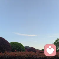 不吵不闹，温柔陪伴
白天也可以有暖暖的小倾诉
听你碎碎念，做你的专属树洞✨