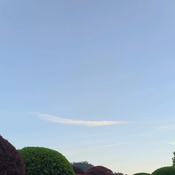 清甜小熊