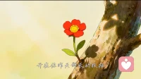 我们眼睛👁里，除了平视和仰视，还应该有俯视，俯视生命的角落和夹缝！
我们眼中看到的除了繁华盛景，还应该有村落和远山，那些逝去的记忆和模糊的画面，成就了你的今天！
而明天的你是怎样的，这一刻是重演还是新的起点，都由你自己说了算！配图