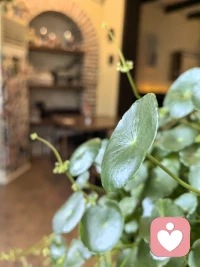 未经他人苦，莫劝他人善。健康的状态，不过就是允许别人做别人，允许自己做自己，内心不再强烈的需要一个理想爸爸或者理想妈妈出现，我们看清了自己的来路，接纳了自己的全部，不再以理想主义的状态要求自己，也不再去强烈怨和恨，纠缠过往。
往事随风，专注于解决自己的课题，身上的包袱自然就小了，我们不是救世主，最先需要解脱的就是自己！配图