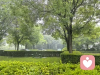 百分之90以上的身体疾病，
都来自心理问题，
心有千千结，才有了疾病的外部呈现！
心情好，身体好……
倾诉就像倒垃圾，很重要，不是吗？