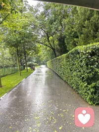 修行很好的人，不是说今天的你不会生气，而是生气之后你会觉察说，我的心❤又在生气，因为这样这样啊……像老朋友来了，又走了……让他慢慢走掉