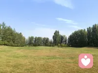 疗愈创伤，除了看见，还要有更多的个体体验，慢慢会打破过去认知，脱离原有的模式。