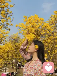 你知道吗？每一声心跳都在诉说：你值得被爱，被珍惜，被温柔以待。当黑夜太长时，请相信黎明正在路上，而我会一直在这里，为你点亮第一盏灯！配图