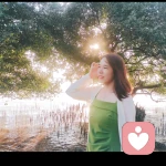 阳光燕子的头像