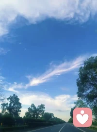 去靠近光，去感受风，去拥抱所有风意与声音，早安配图