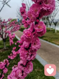 原生家庭是原因，但不意味着自己可以躲在它背后。也许原本你就很强，只不过你亲手按住了自己配图