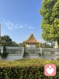 不寄希望于他人的改变，不幻想虚无的温暖，
不沉溺短暂的情绪慰藉，不困在过往的遗憾里。配图