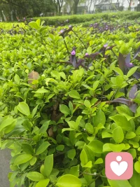别害怕前路的未知与迷茫，只要你心怀热爱不停下脚步，哪怕走得慢一点也没关系，终能抵达想去的远方。配图