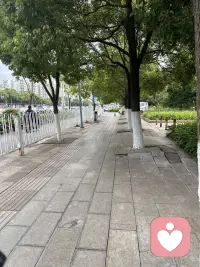 世间温柔，皆是沿途馈赠，好好珍惜当下光景。配图