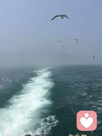 风会停，雨会止，糟糕的日子总会过去的。

累了就歇一歇，你不需要一直坚强，也可以偶尔柔软🍎