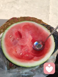 去吃吃西瓜看看花摸摸狗头，暂时放下心里的执念，回归本源吧配图