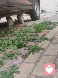 苦中作乐，感知幸福配图