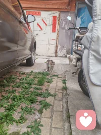 苦中作乐，感知幸福配图