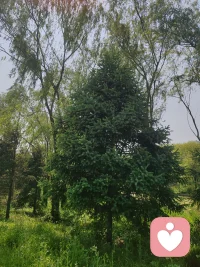 苦中作乐，感知幸福配图