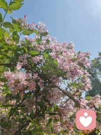 苦中作乐，感知幸福配图