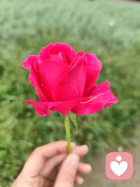 你好呀，陌生人，这里有个情绪树洞，很愿意倾听你的一切，温暖陪伴，不打扰，不评判，不打断