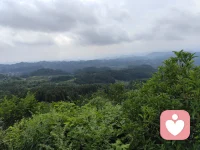 喜欢有阳光的日子，万物都变得很温暖。
心情有多美，生活就有多好，坚持做
一个乐观的人，面对阳光秦带上微笑,
开启新的一天每天活出最灿烂的样子。配图