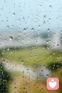 风来听风，雨来听雨，人生百味，随意就好配图