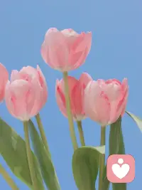 叮，今天的好运已签收，早安，新的一天配图