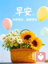 生活最好的状态，就是眼里有光，心中有梦，脚下有路，就算步履缓慢，也始终在向前，从不回头配图