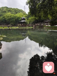 一个人漫步在公园，听听🐦叫声，闻闻🌸香，挺好挺好配图