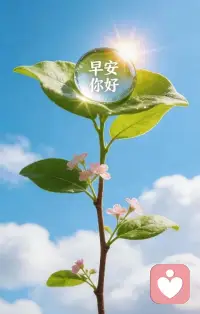 把生活调到自己喜欢的频道，每一段时光，都藏着不可复制的美好，年龄只是符号，开心才最重要