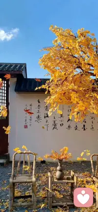 上午好