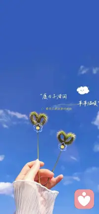 书中有你想要的所有答案