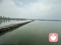 无论你现在正在经历什么，想不通就不要逼自己去想通，允许你付出了没有回报，允许你爱的人不爱你，允许自己犯错，允许事与愿为。你越在意什么，什么就越折磨你。
        所有事情，冥冥之中自有安排、你怎么知道错过了就一定是坏事呢。也许失之东隅，收之桑榆。沉住气，别灰心，熬过去，便是柳暗花明。配图