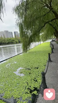 致自己
每个优秀的人都有一段沉默的时光，那段时光是付出很多努力，却得不到结果的日子。我们管它叫：扎根，沉淀，积累。不要老觉得为什么我改变了，努力了，可还是没有看到效果。一努力就要看到效果，那是小孩子才会做的事情。
很喜欢一段话：我的人生没失败，因为我要么成功，要么成长。我的人生没有敌人，全是老师，所以我要么得到，要么学到。我的人生没有白走的路，对了就庆祝，错了就记住。
何时葡萄先熟透，你要静候再静候；何时功成与名就，你要静心再静心；辞家千里又千里，务必争气再争气。尝遍人间万般苦，只为人前不低头。配图