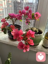 你想要的人生，只有你自己给的起配图