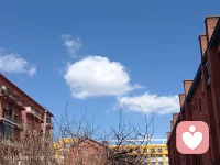 阳光正好，微风不燥，你的心情也要这样哦配图