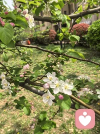 深耕心理学多年，同时研习国学、茶文化与古琴，擅长结合传统文化智慧+心理学方法，疏导情绪焦虑、缓解育儿与家庭内耗。作为三孩妈妈，共情力强、温暖包容，愿意耐心倾听你的烦恼，陪你找回内心的平静与力量。配图