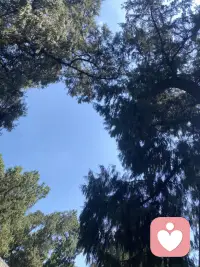 还没到兵荒马乱的高三，就已经提前体会到为人父母的忐忑与牵挂。不求孩子多优秀，只愿孩子平安、轻松、顺遂！配图