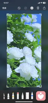 慢慢释怀，静静自愈，不盼轰轰烈烈，只求安稳自在，平安喜乐。配图