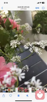 好像坚持这件事从不会立刻给答案，熬过无数次想放弃的瞬间，依旧选择从头再来。
晨风吹散长夜的情绪，日出会带来新的期许。早安！配图