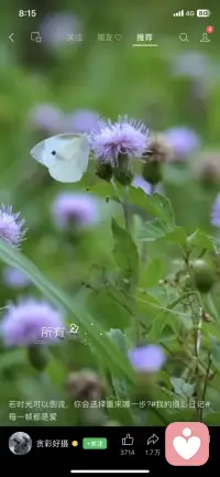 岁月静好是片刻，一地鸡毛是日常，即使世界偶尔薄凉，内心也要繁花似锦。浅浅的喜，静静的爱，深深的懂得，淡淡的的释怀。不去惊艳谁的人生，只温柔自己的岁月。
如果你需要一个倾听伙伴，我就在这里，等你来聊聊配图