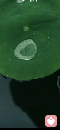 淅淅沥沥的小雨恰是聆听，恰是相逢，美好的一天从清晨开始吧！需要倾听，我刚好在配图