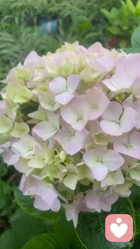 早安，我的朋友们！生活是一场沉浸式的漫游，在专属的时光里，定格心动的风景，单曲循环喜欢的歌，不必追赶谁的脚步，当你沉浸其中，自己便是最动人的诗与远方！