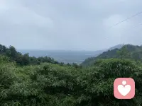 感受它是没有对错的，它们只是信使，愤怒它也是在提醒你，你要有边界，悲伤也是在呼唤你，你需要疗愈你的内心