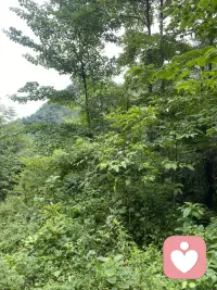 感受它是没有对错的，它们只是信使，愤怒它也是在提醒你，你要有边界，悲伤也是在呼唤你，你需要疗愈你的内心