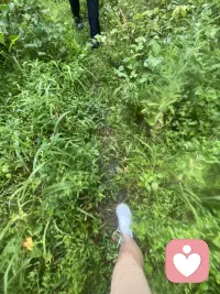 感受它是没有对错的，它们只是信使，愤怒它也是在提醒你，你要有边界，悲伤也是在呼唤你，你需要疗愈你的内心