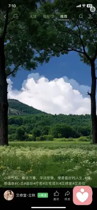 也许你走过太多难熬的坎，独自咽下太多的委屈和心酸。当棵春天开花的树，走条顺其自然的路。风来就舒展，雨来就接住，累了就停下。好好珍惜人生这趟旅途！
