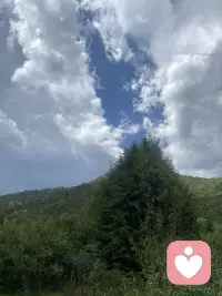 朋友们，伙伴们，带你们来寻找快乐，碰运气，捡菌子啦！配图